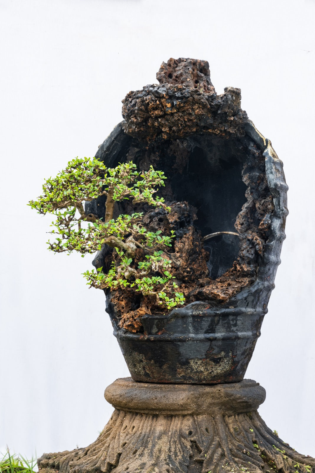 Collectible: Fukein Tea Jar Penjing